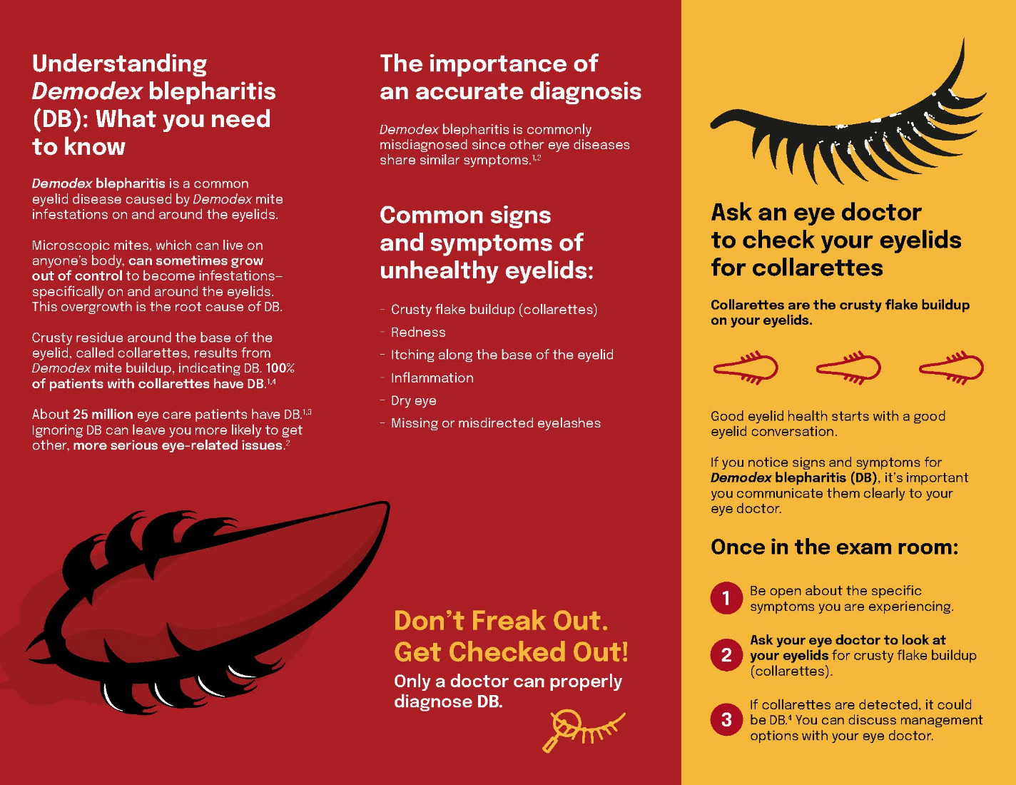 thumbnail image of demodex blepharitis db brochure