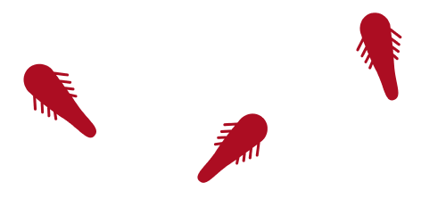 three illustrated demodex mites in red